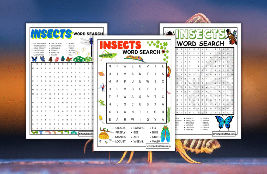 INSECTS WORD SEARCH