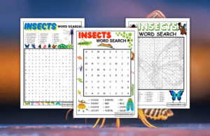 INSECTS WORD SEARCH
