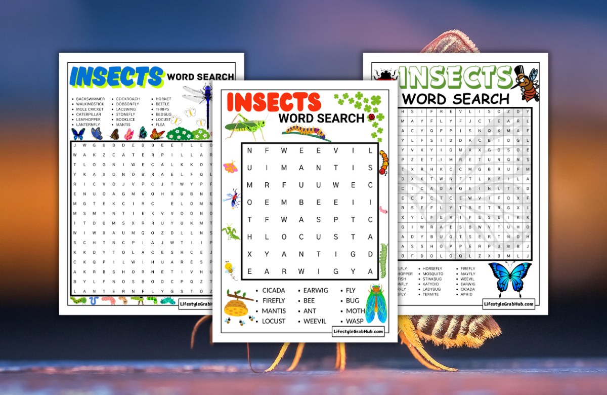 INSECTS WORD SEARCH